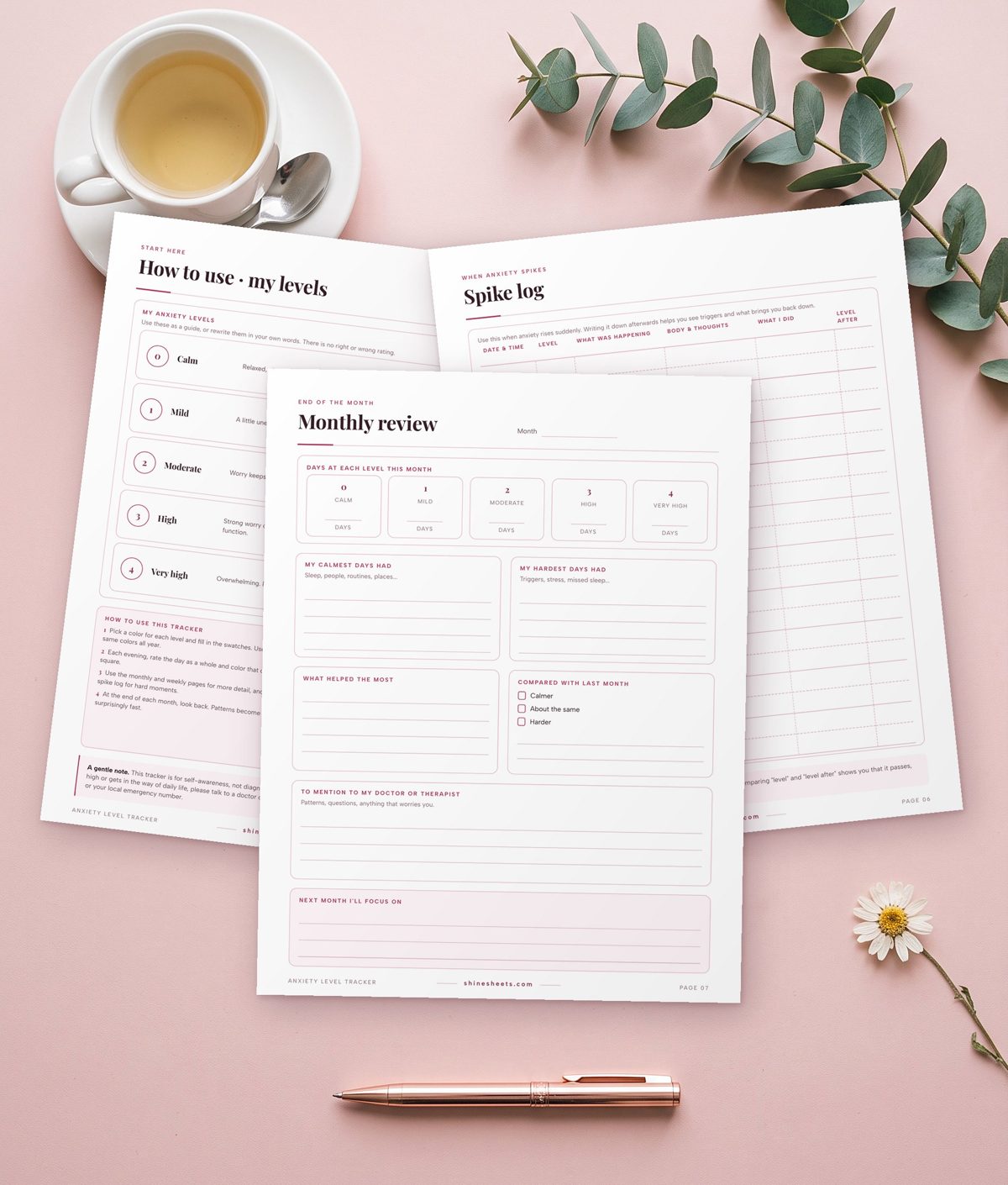 Anxiety levels guide, spike log and monthly review printable pages
